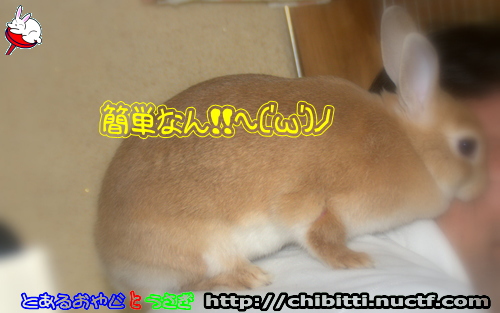 画像クリックで拡大します