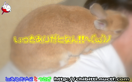 画像クリックで拡大します