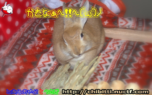 画像クリックで拡大します