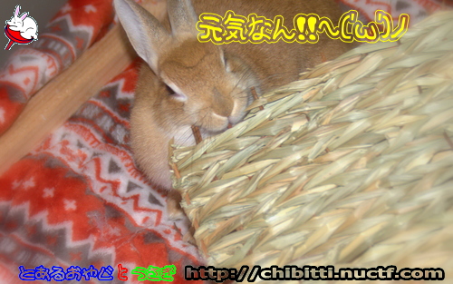 画像クリックで拡大します