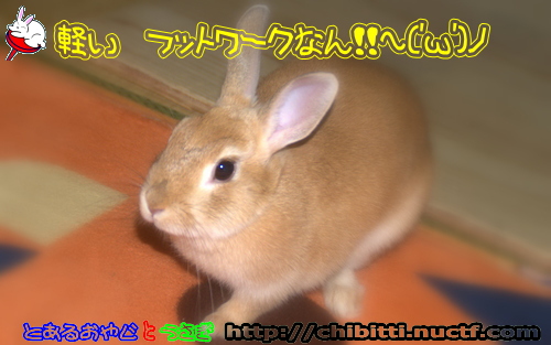 画像クリックで拡大します