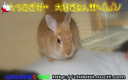画像クリックで拡大します
