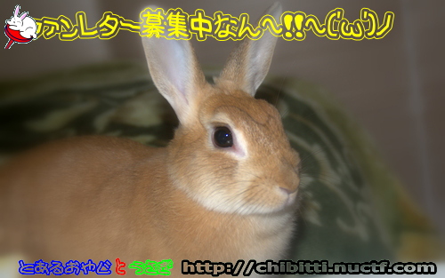 画像クリックで拡大します