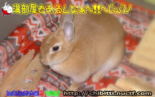 画像クリックで拡大します