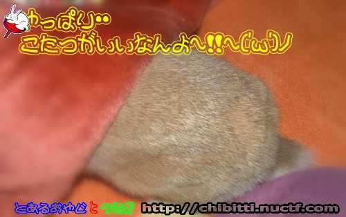 画像クリックで拡大します
