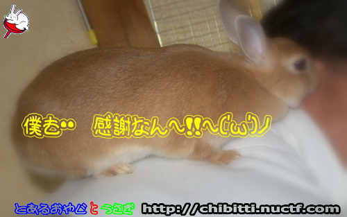 画像クリックで拡大します