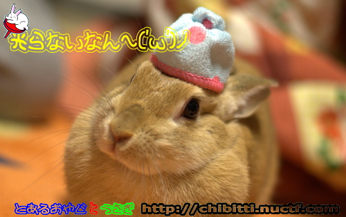 画像クリックで拡大します