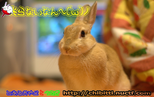 画像クリックで拡大します