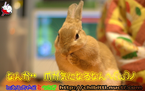 画像クリックで拡大します