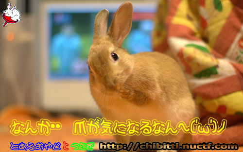 画像クリックで拡大します