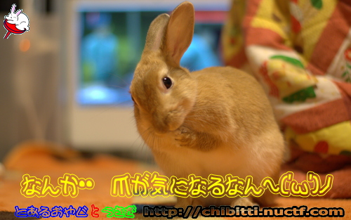 画像クリックで拡大します