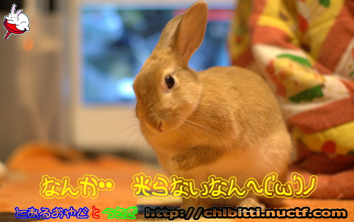 画像クリックで拡大します