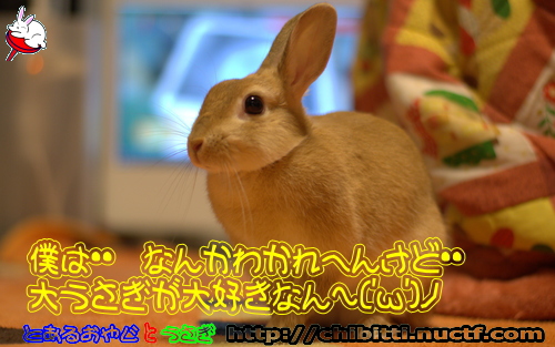 画像クリックで拡大します