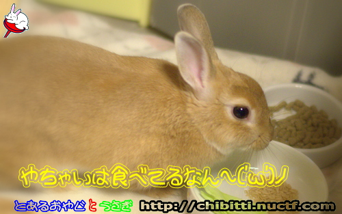 画像クリックで拡大します