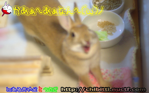画像クリックで拡大します