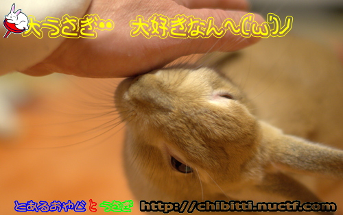 画像クリックで拡大します