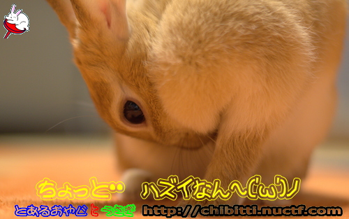 画像クリックで拡大します