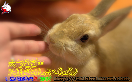 画像クリックで拡大します