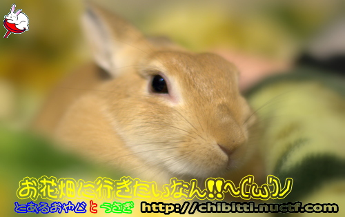 画像クリックで拡大します