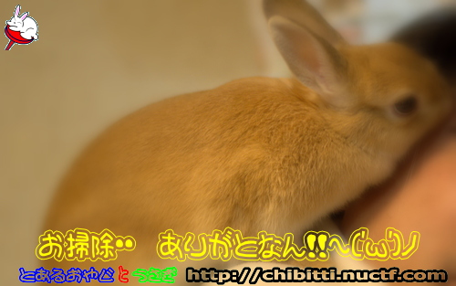 画像クリックで拡大します