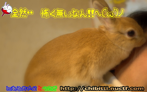 画像クリックで拡大します