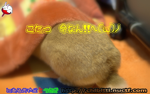 画像クリックで拡大します