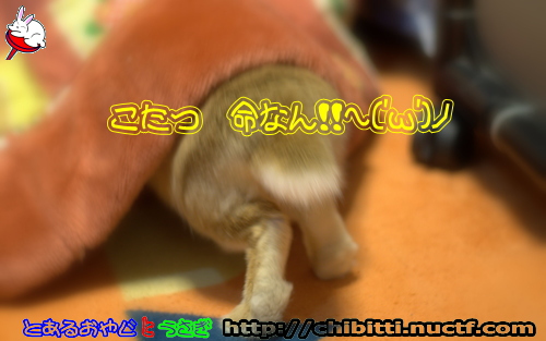 画像クリックで拡大します