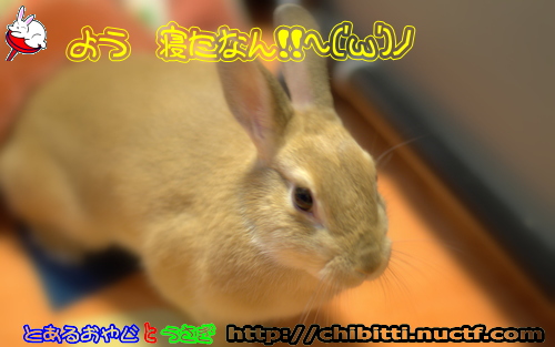 画像クリックで拡大します