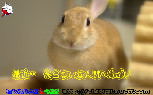 画像クリックで拡大します
