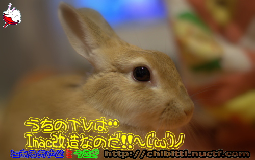 画像クリックで拡大します
