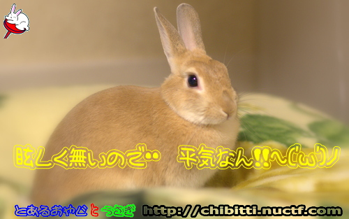 画像クリックで拡大します