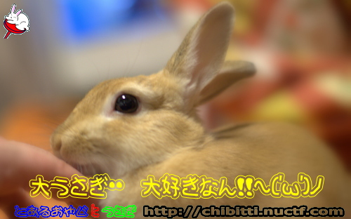 画像クリックで拡大します