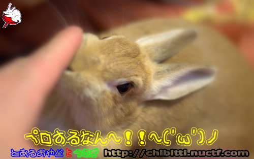 画像クリックで拡大します