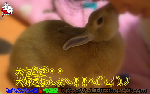 画像クリックで拡大します