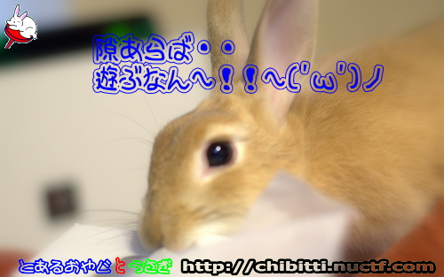 画像クリックで拡大します