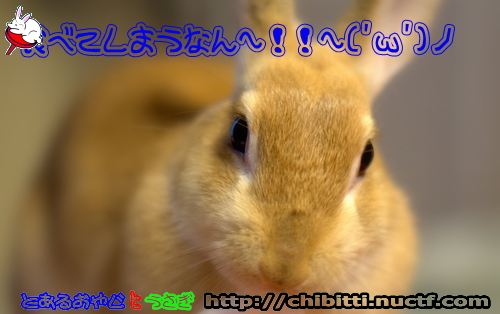 画像クリックで拡大します