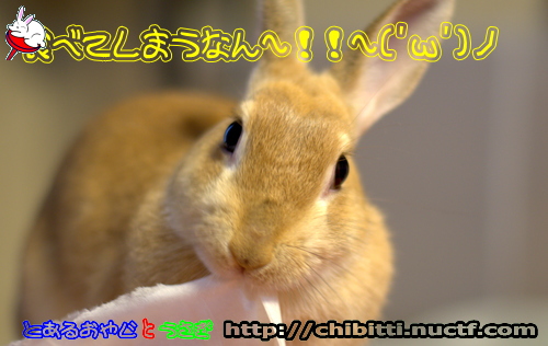 画像クリックで拡大します