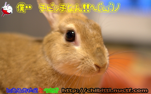 画像クリックで拡大します