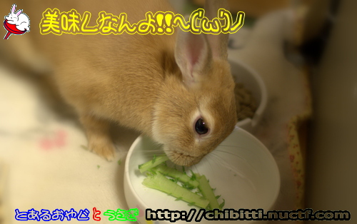 画像クリックで拡大します