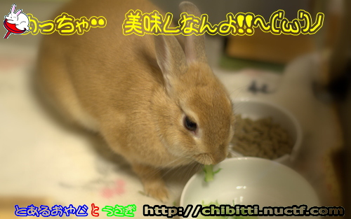 画像クリックで拡大します