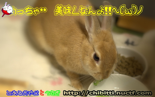 画像クリックで拡大します