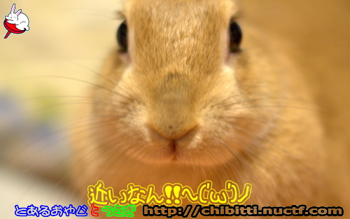 画像クリックで拡大します