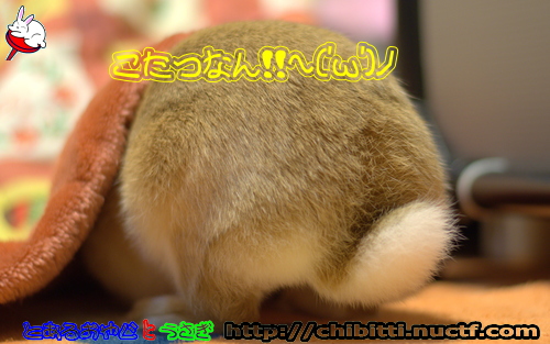 画像クリックで拡大します