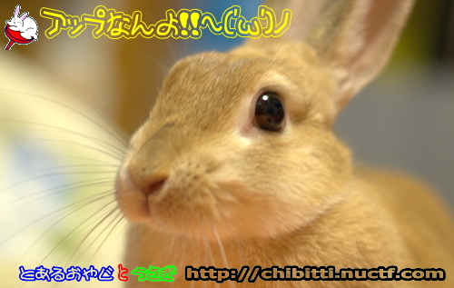 画像クリックで拡大します