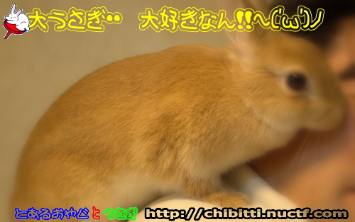 画像クリックで拡大します