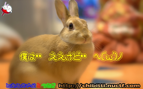 画像クリックで拡大します