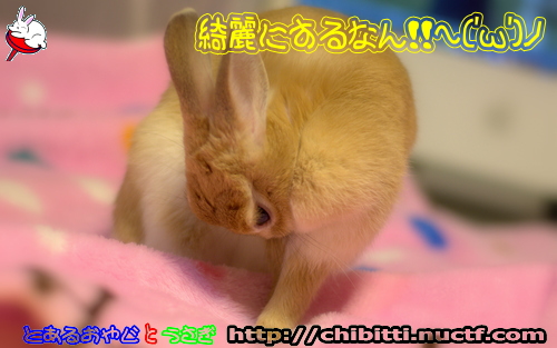 画像クリックで拡大します