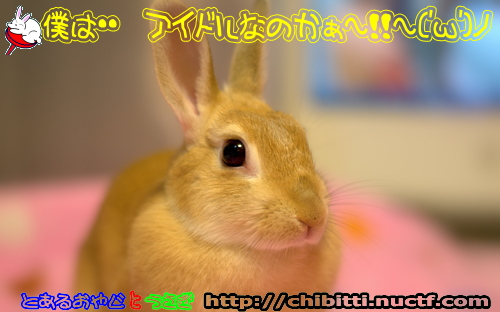 画像クリックで拡大します