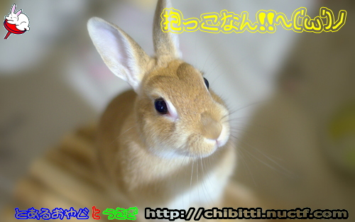 画像クリックで拡大します