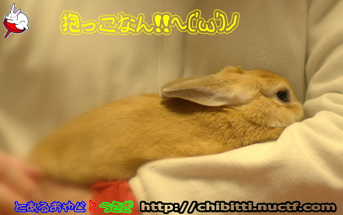 画像クリックで拡大します